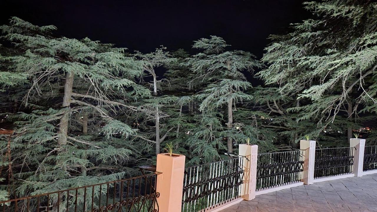 Glen View Heritage Homestay Shimla Zewnętrze zdjęcie