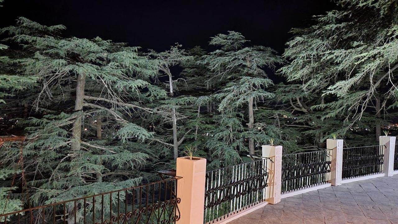 Glen View Heritage Homestay Shimla Zewnętrze zdjęcie