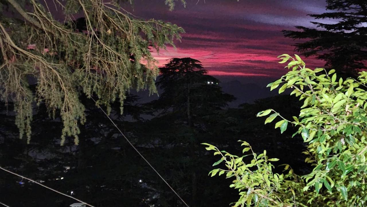Glen View Heritage Homestay Shimla Zewnętrze zdjęcie
