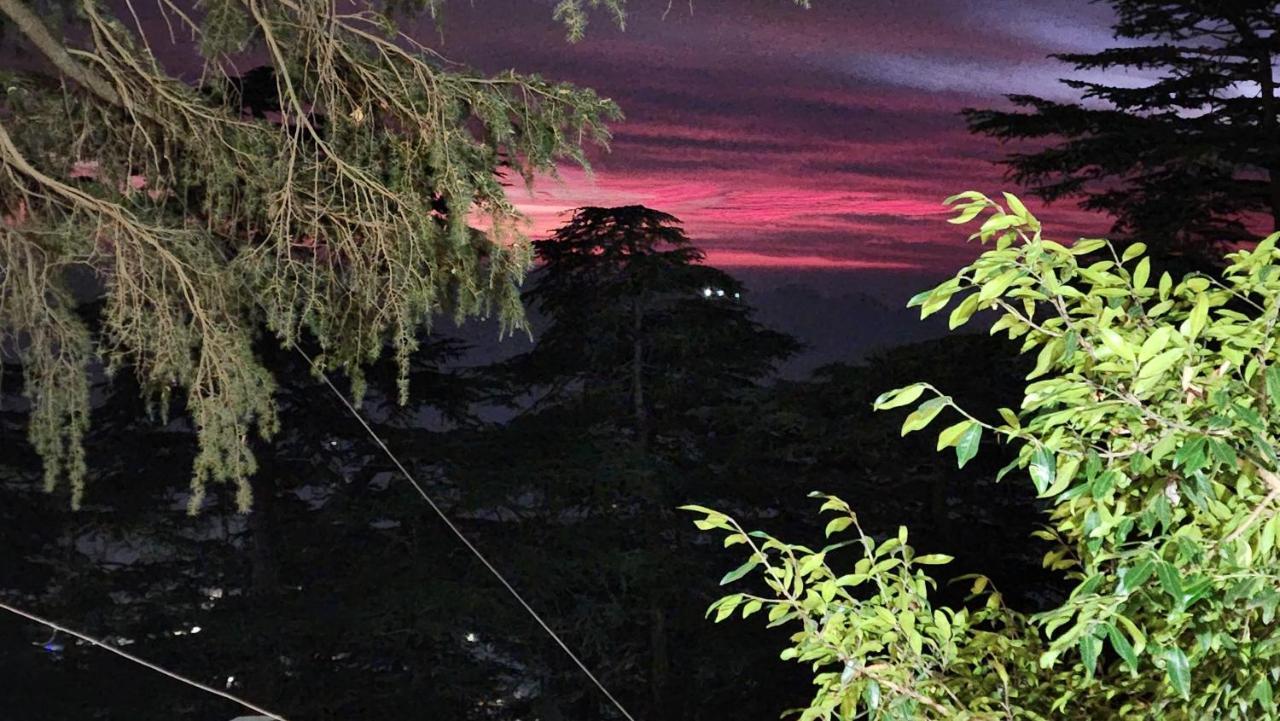 Glen View Heritage Homestay Shimla Zewnętrze zdjęcie