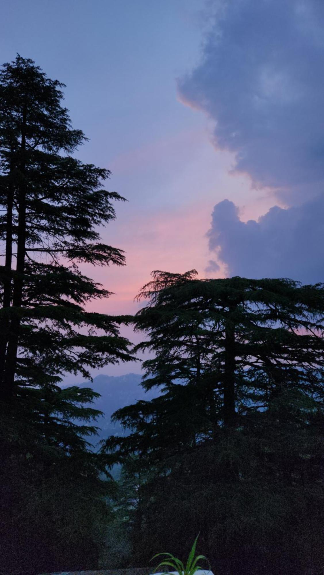 Glen View Heritage Homestay Shimla Zewnętrze zdjęcie