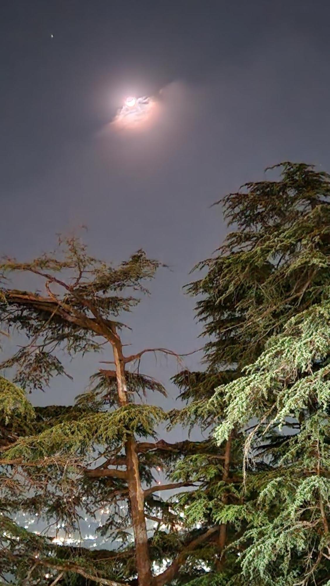 Glen View Heritage Homestay Shimla Zewnętrze zdjęcie