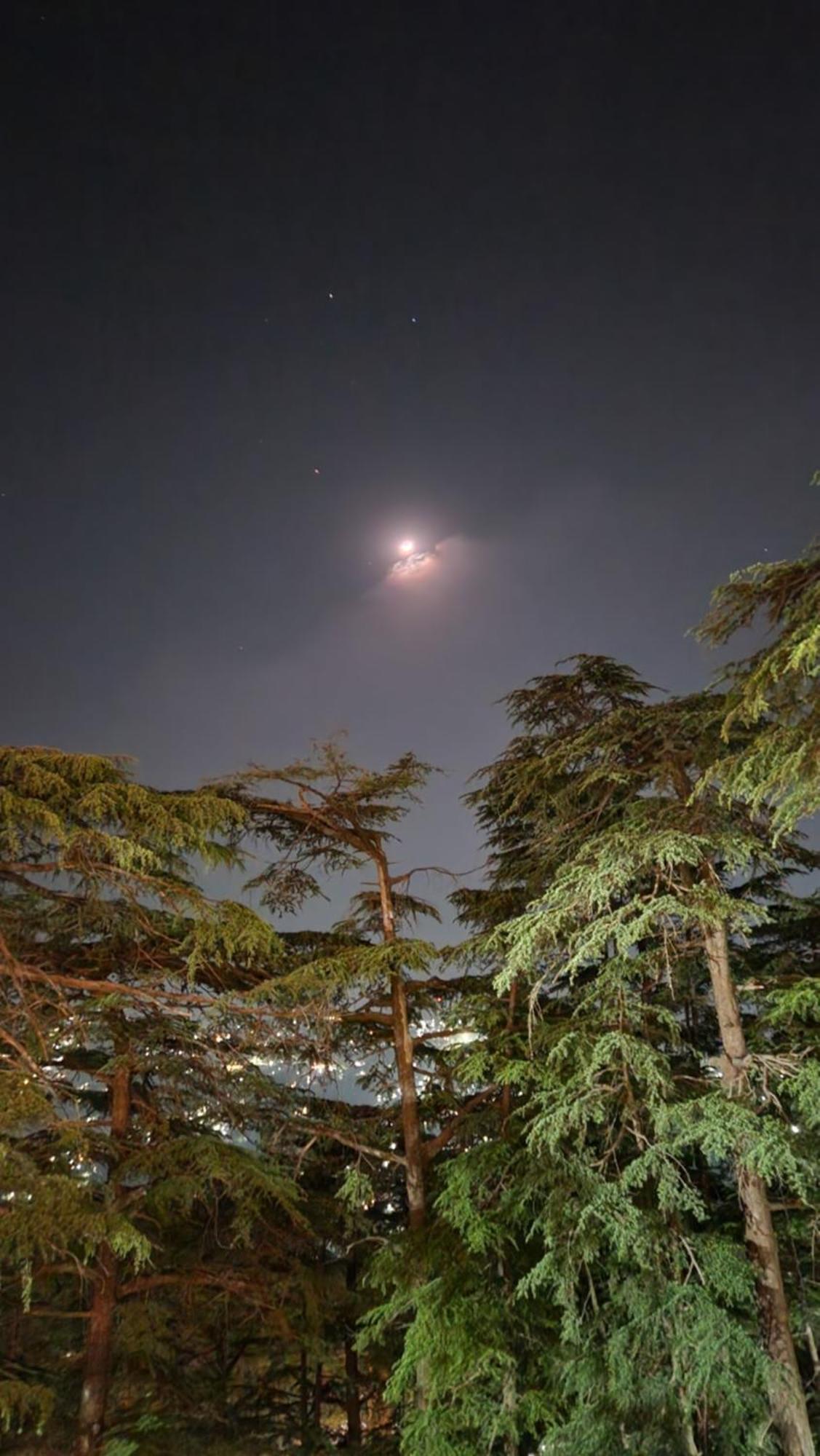 Glen View Heritage Homestay Shimla Zewnętrze zdjęcie